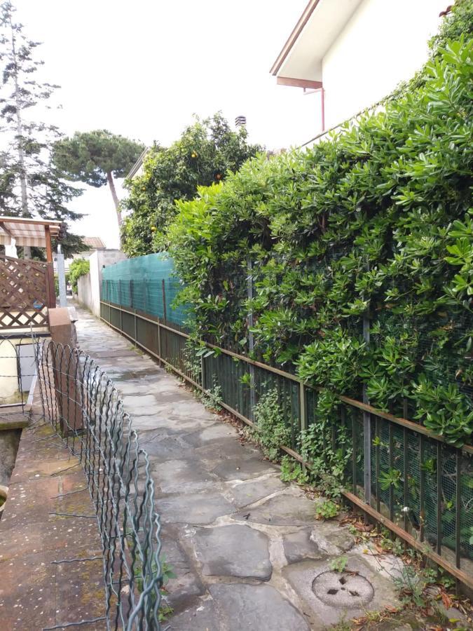 Casa Tonfoni Villa Torre del Lago Puccini Dış mekan fotoğraf